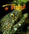 What is a Fish? (Science of Living Things (Paperback))