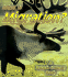 What is Migration? (Science of Living Things)