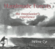 Handmade Forests: the Treeplanter's Experience