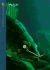 Walleye-the Hunting & Fishing Library