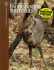 Understanding Whitetails (the Complete Bowhunter)