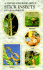 Step By Step Book About Stick Insects