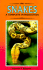 Snakes, a Complete Introduction to