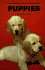 Puppies