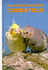 All About Breeding Cockatiels