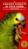 Amazon Parrots in Your Home