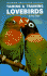 Taming and Training Lovebirds