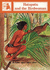 Hatupatu and the Birdwoman: Stage Seven Supplementary Readers: Story Based on a Maori Legend (Story Chest)