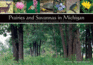 Prairies and Savannas in Michigan Format: Paperback