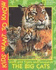 The Big Cats: Lions and Tigers and Leopards (Book for Young Explorers)