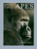 Apes (Sierra Club Wildlife Library)