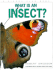 What is an Insect