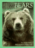 Bears