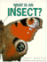 What is an Insect?