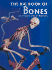 The Big Book of Bones