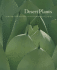 Desert Plants: a Curator's Introduction to the Huntington Desert Garden (the Huntington Library Garden Series)