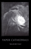 Paper Cathedrals (Wick Poetry First Book): Poems: 07 (Wick Poetry First Books (Paperback))