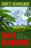 Under Kilimanjaro