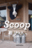 Scoop: Notes From a Small Ice Cream Shop