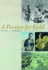 A Passion for Gold: an Autobiography