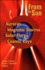 From the Sun: Auroras, Magnetic Storms, Solar Flares, Cosmic Rays (Special Publications)