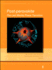 Post-Perovskite: the Last Mantle Phase Transition (Geophysical Monograph Series)