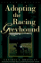 Adopting the Racing Greyhound