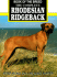 The Complete Rhodesian Ridgeback (Book of the Breed)