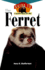 The Ferret (Happy Healthy Pet)