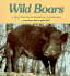 Wild Boars (Nature Watch Series)