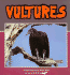 Vultures (Nature Watch)