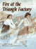 Fire at the Triangle Factory (Carolrhoda on My Own Books)