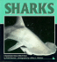 Sharks (Nature Watch)