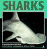 Sharks (Nature Watch)