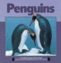 Penguins (Nature Watch)