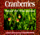 Cranberries: Fruit of the Bogs