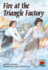 Fire at the Triangle Factory (on My Own History)