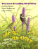 The Iowa Breeding Bird Atlas