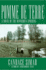 Pomme de Terre: Volume 2