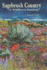 Sagebrush Country: a Wildflower Sanctuary