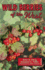 Wild Berries of the West