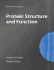 Protein Structure and Function (Primers in Biology)