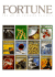 Fortune: the Art of Covering Business