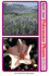 Know Your Poisonous Plants