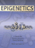 Epigenetics