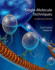 Single-Molecule Techniques: a Laboratory Manual Format: Paperback