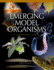Emerging Model Organisms: a Laboratory Manual (Volume 2)