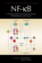 Nf-Kb, a Network Hub Controlling Immunity, Inflammation, and Cancer (Cold Spring Harbor Perspectives in Biology)
