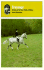 Dressage: a Study of the Fine Points of Riding