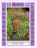 Container Gardener